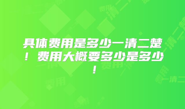 具体费用是多少一清二楚！费用大概要多少是多少！