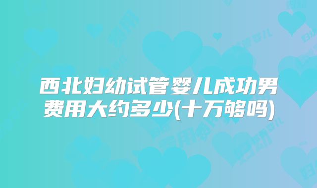西北妇幼试管婴儿成功男费用大约多少(十万够吗)
