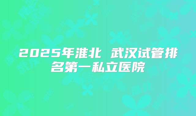2025年淮北 武汉试管排名第一私立医院
