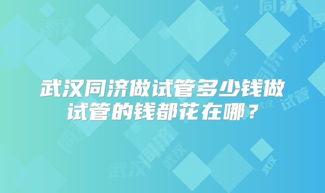 武汉同济做试管多少钱做试管的钱都花在哪？