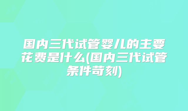 国内三代试管婴儿的主要花费是什么(国内三代试管条件苛刻)