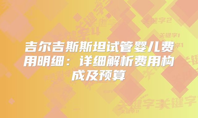 吉尔吉斯斯坦试管婴儿费用明细：详细解析费用构成及预算