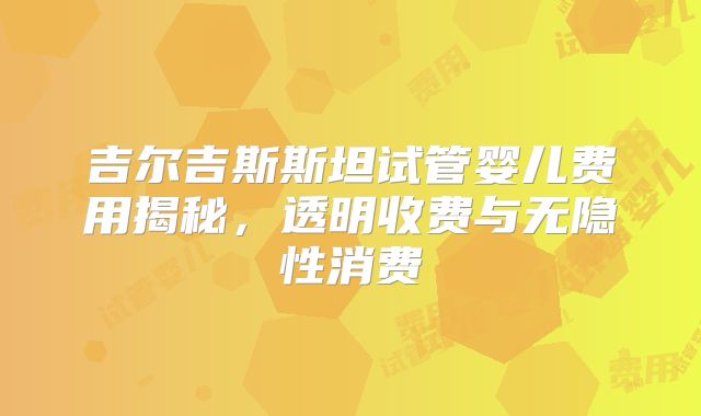 吉尔吉斯斯坦试管婴儿费用揭秘，透明收费与无隐性消费