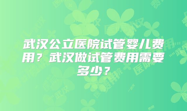 武汉公立医院试管婴儿费用？武汉做试管费用需要多少？