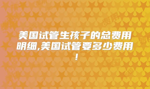 美国试管生孩子的总费用明细,美国试管要多少费用！