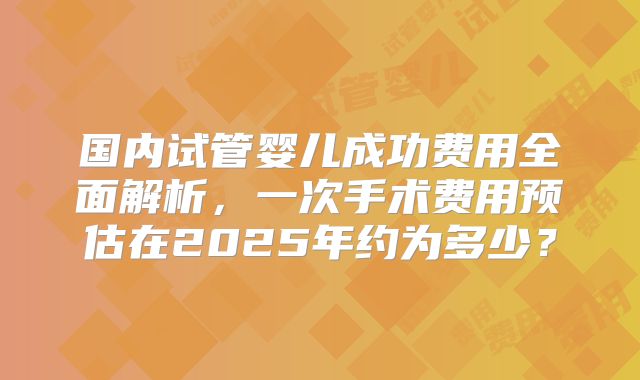 国内试管婴儿成功费用全面解析,一次手术费用预估在2025年约为多少?
