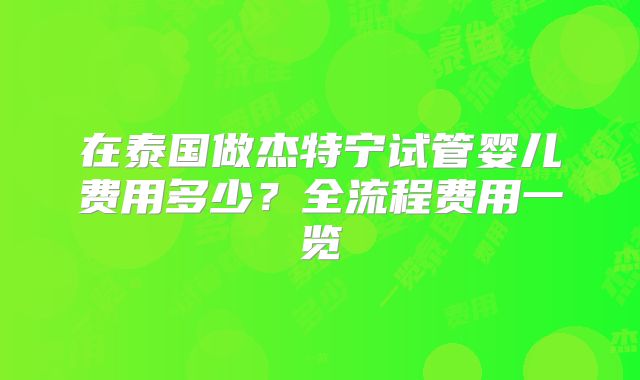 在泰国做杰特宁试管婴儿费用多少？全流程费用一览