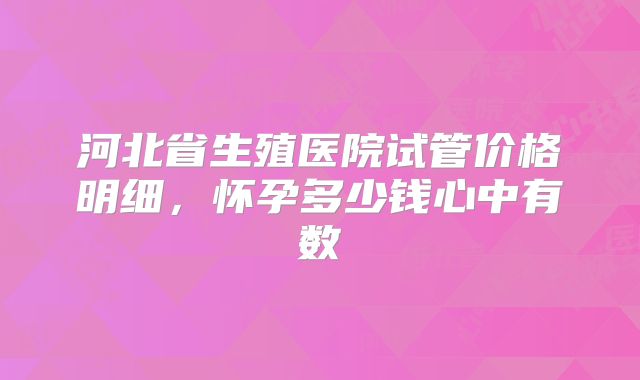河北省生殖医院试管价格明细，怀孕多少钱心中有数