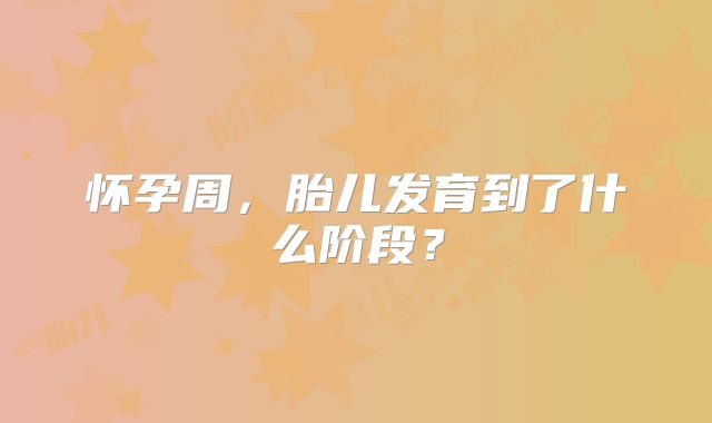 怀孕周，胎儿发育到了什么阶段？