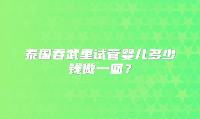 泰国吞武里试管婴儿多少钱做一回？