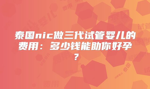 泰国nic做三代试管婴儿的费用:多少钱能助你好孕?