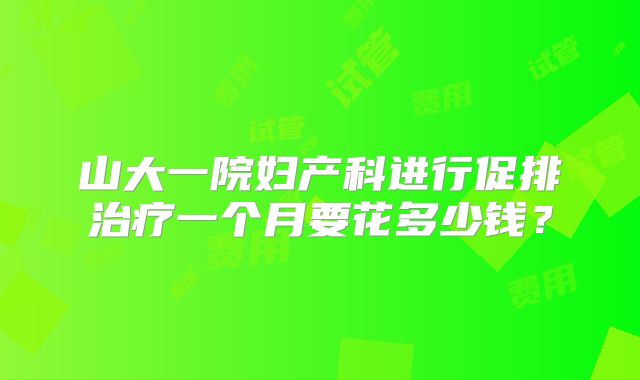 山大一院妇产科进行促排治疗一个月要花多少钱？