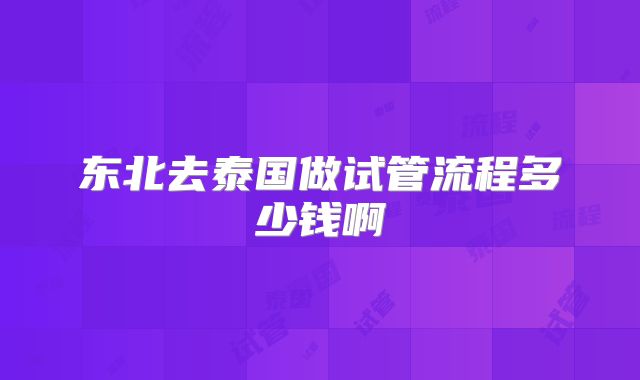 东北去泰国做试管流程多少钱啊