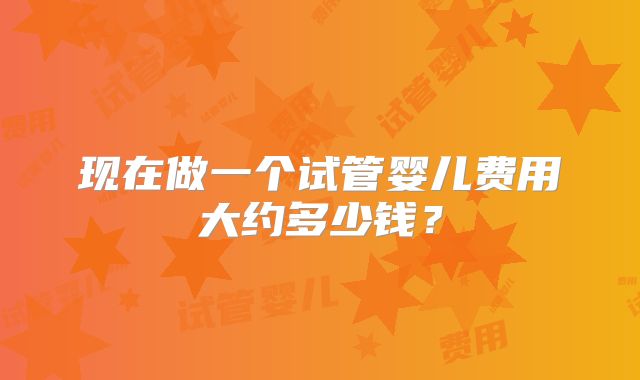 现在做一个试管婴儿费用大约多少钱？
