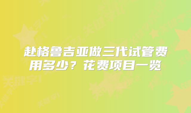 赴格鲁吉亚做三代试管费用多少？花费项目一览