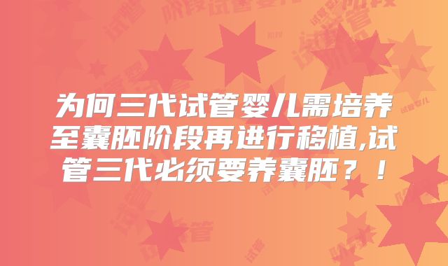 为何三代试管婴儿需培养至囊胚阶段再进行移植,试管三代必须要养囊胚？！
