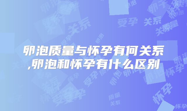 卵泡质量与怀孕有何关系,卵泡和怀孕有什么区别