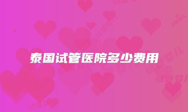泰国试管医院多少费用