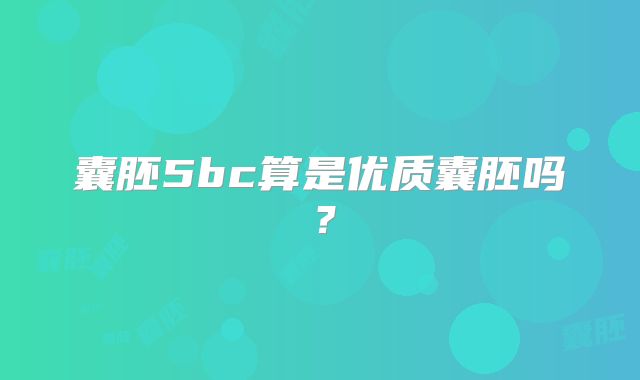 囊胚5bc算是优质囊胚吗？