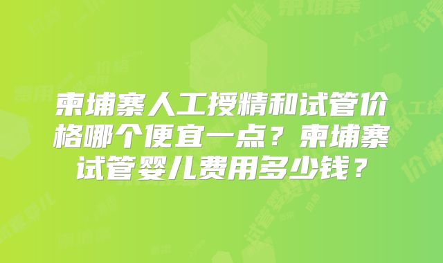 柬埔寨人工授精和试管价格哪个便宜一点？柬埔寨试管婴儿费用多少钱？