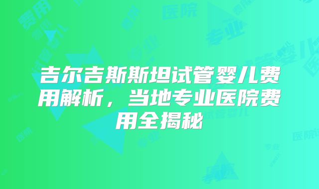 吉尔吉斯斯坦试管婴儿费用解析，当地专业医院费用全揭秘