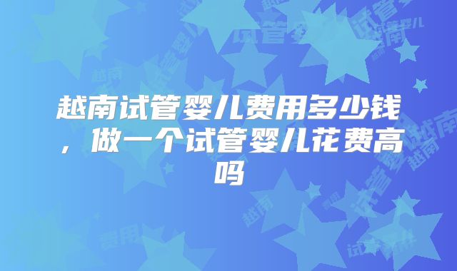 越南试管婴儿费用多少钱，做一个试管婴儿花费高吗