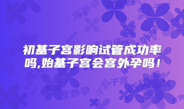 初基子宫影响试管成功率吗,始基子宫会宫外孕吗！