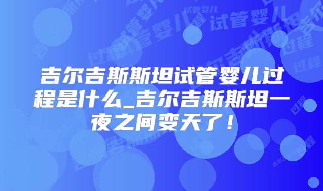 吉尔吉斯斯坦试管婴儿过程是什么_吉尔吉斯斯坦一夜之间变天了!