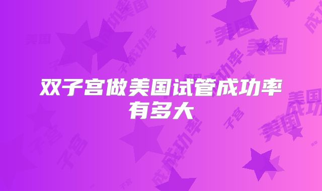 双子宫做美国试管成功率有多大