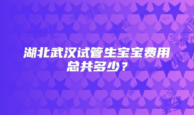 湖北武汉试管生宝宝费用总共多少?