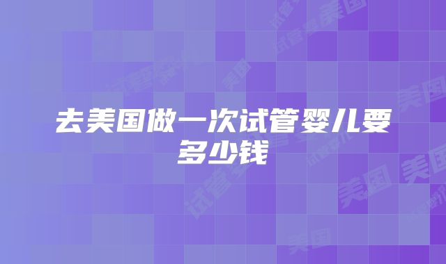去美国做一次试管婴儿要多少钱