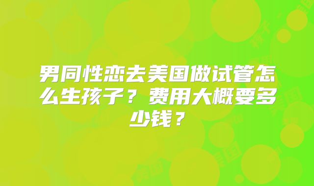 男同性恋去美国做试管怎么生孩子?费用大概要多少钱?