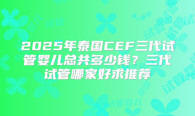 2025年泰国CEF三代试管婴儿总共多少钱？三代试管哪家好求推荐
