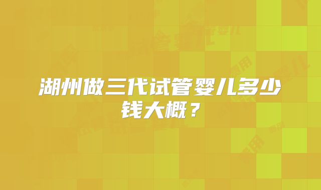 湖州做三代试管婴儿多少钱大概？