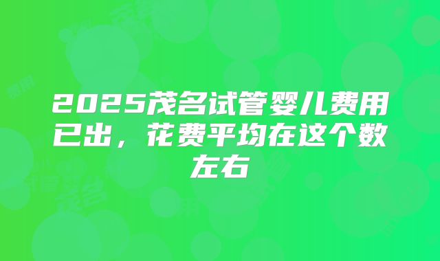 2025茂名试管婴儿费用已出，花费平均在这个数左右