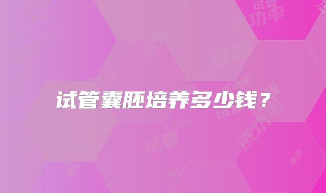 试管囊胚培养多少钱？