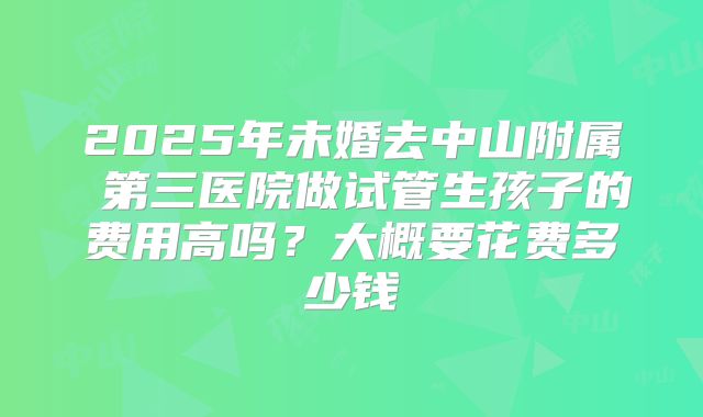 2025年未婚去中山附属 第三医院做试管生孩子的费用高吗？大概要花费多少钱
