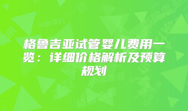 格鲁吉亚试管婴儿费用一览：详细价格解析及预算规划