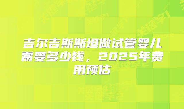 吉尔吉斯斯坦做试管婴儿需要多少钱，2025年费用预估