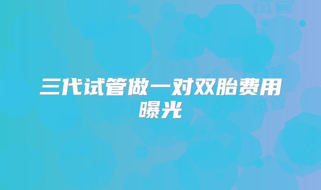 三代试管做一对双胎费用曝光