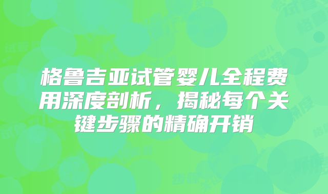 格鲁吉亚试管婴儿全程费用深度剖析,揭秘每个关键步骤的精确开销