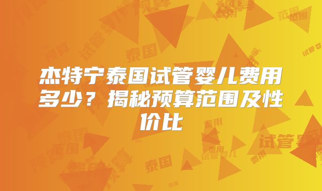 杰特宁泰国试管婴儿费用多少？揭秘预算范围及性价比