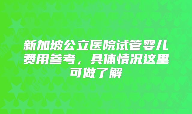 新加坡公立医院试管婴儿费用参考，具体情况这里可做了解