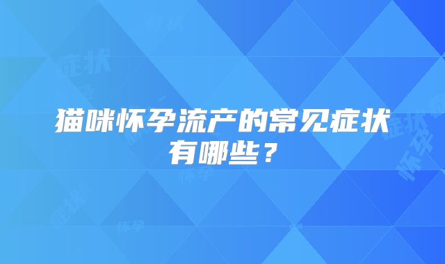 猫咪怀孕流产的常见症状有哪些？