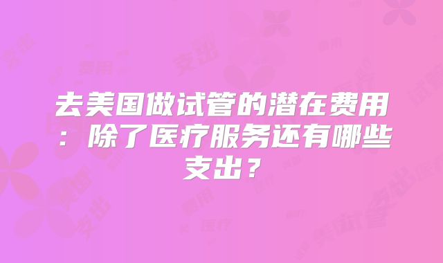 去美国做试管的潜在费用：除了医疗服务还有哪些支出？