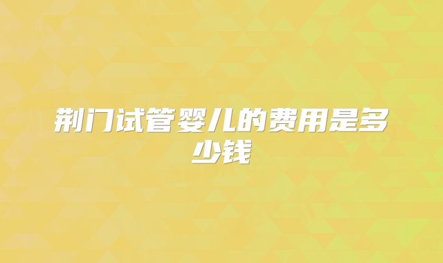 荆门试管婴儿的费用是多少钱
