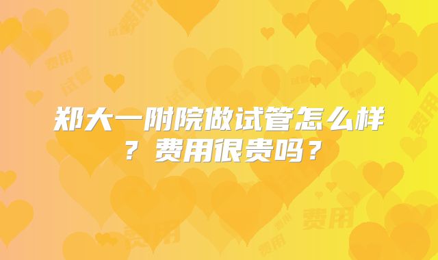 郑大一附院做试管怎么样？费用很贵吗？