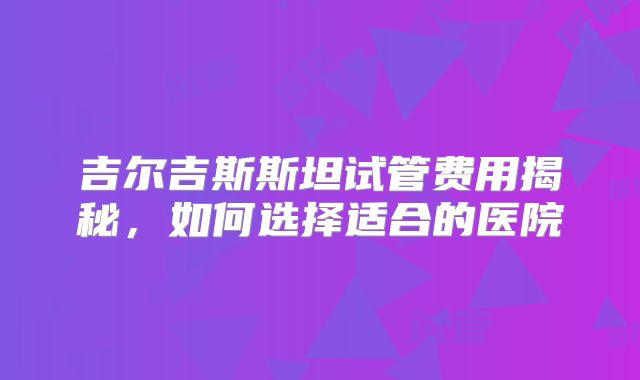 吉尔吉斯斯坦试管费用揭秘，如何选择适合的医院