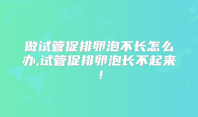 做试管促排卵泡不长怎么办,试管促排卵泡长不起来！