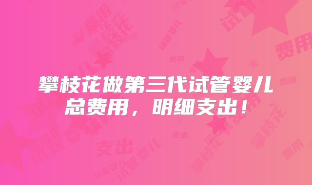 攀枝花做第三代试管婴儿总费用,明细支出!